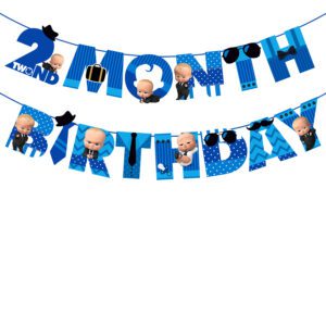 2nd months banner2nd months banner / 2nd month birthday decorations for boy