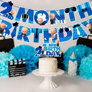 2nd months banner2nd months banner / 2nd month birthday decorations for boy