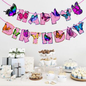 Butterfly Birthday Banner Butterfly 1st 2nd 3rd Birthday Decorations Set of 1