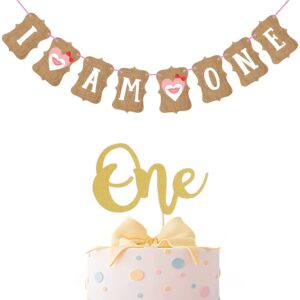 First Birthday-I Am One- Banner for Baby Girl and Baby Boy