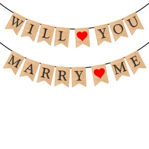 WILL YOU MARRY ME Banner (Pack of 1)